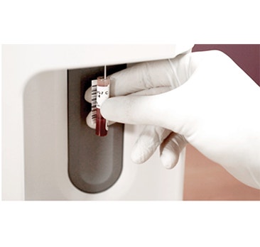 image Element%20HT5_secondary_2_0