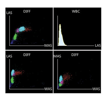 image Element%20HT5_secondary_3