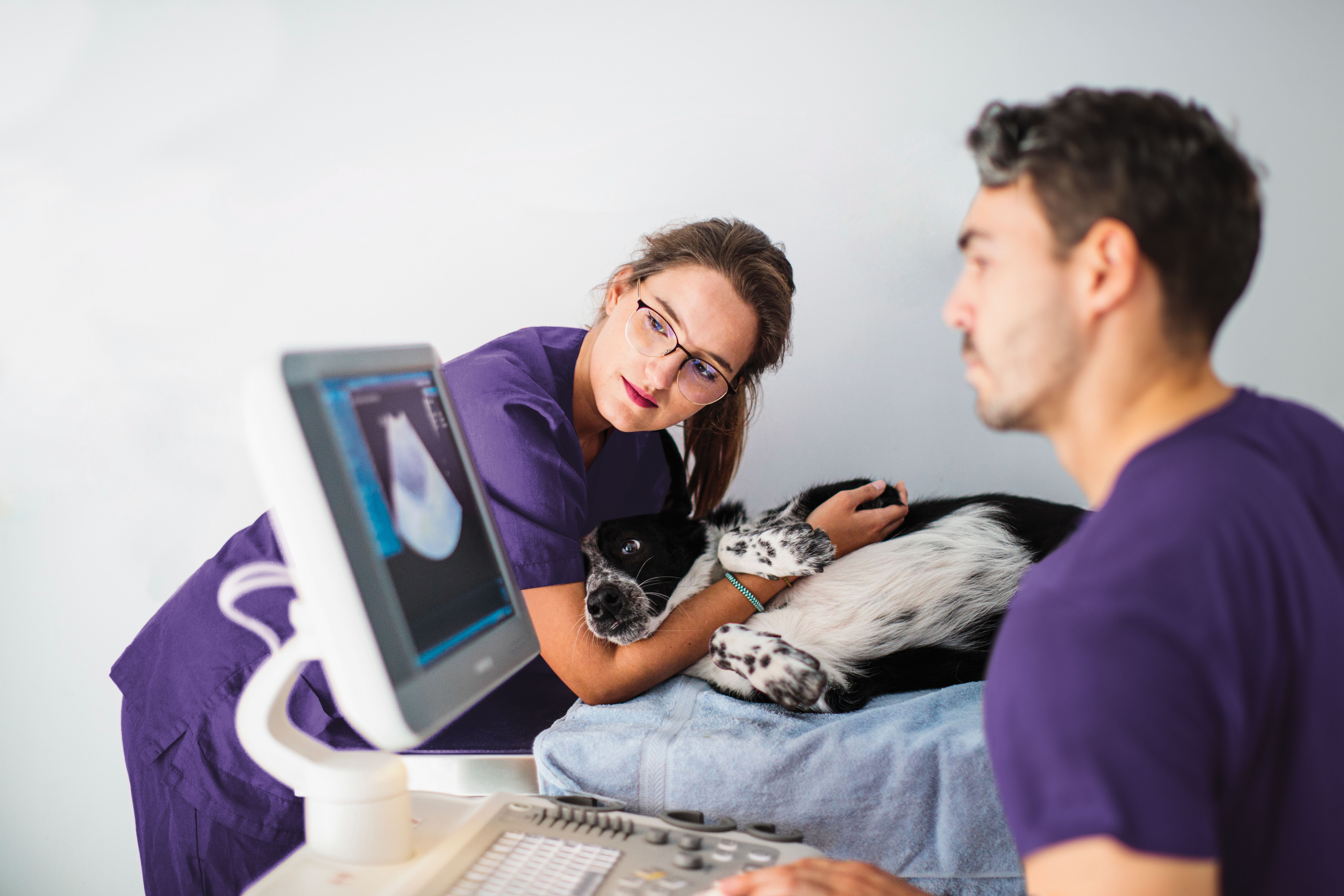 Antech_Thriving_Practice_1_RGB D